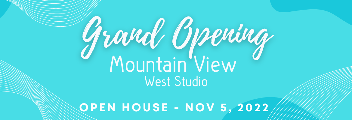 Mt View open house